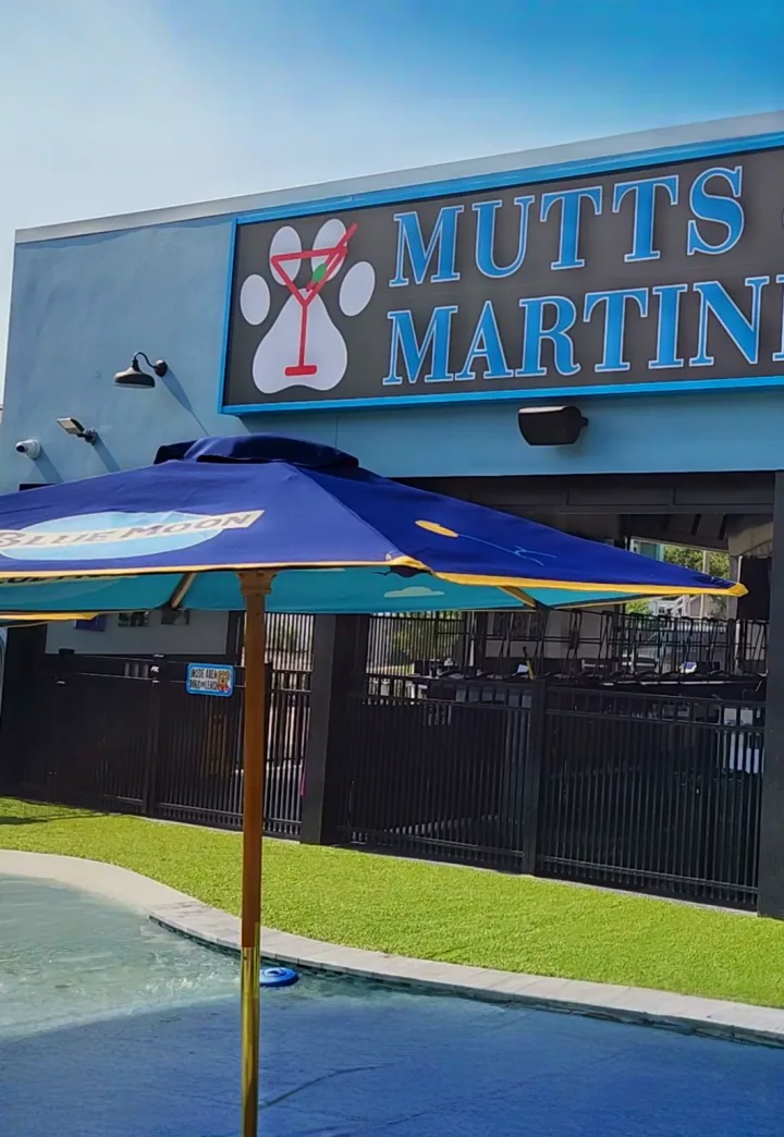 Mutts and Martinis